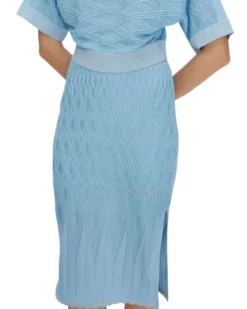 Diane Von Furstenberg Gisele Skirt